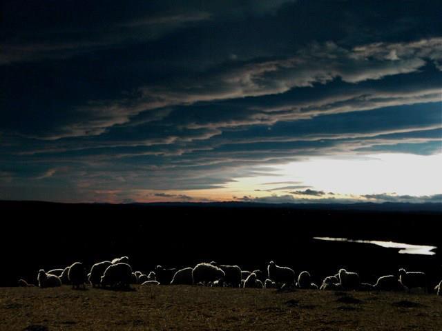 379153_277327802328847_156017631126532_786012_1629266214_n