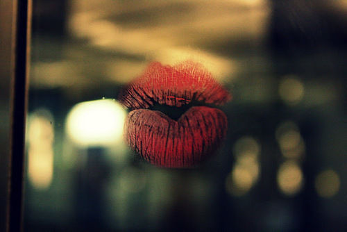 tumblr_lzrkzrVHFE1qg8dw6o1_500_large