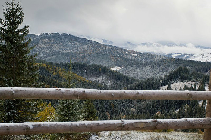 384935_277884818939812_710831492_n