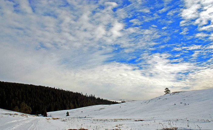 387598_256736364387991_156017631126532_730450_681515010_n