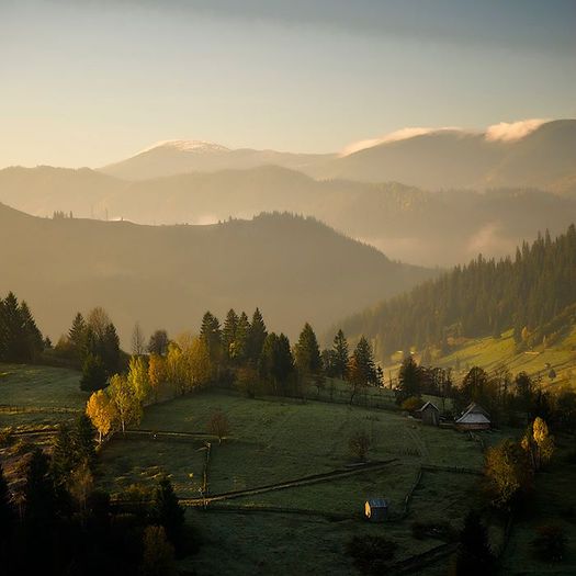 395047_277782242283403_638697535_n