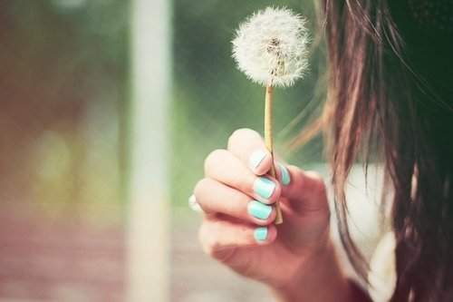 tumblr_m4x8q1Xkan1qehj79o1_500_large