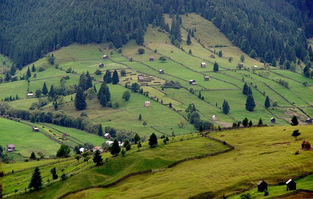 535666_348198215241805_156017631126532_961663_1386731945_n