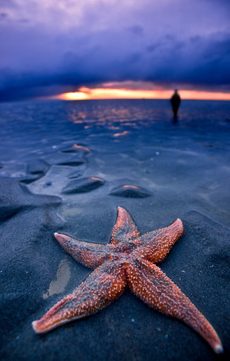 waiting_to_get_back_by_spako_large