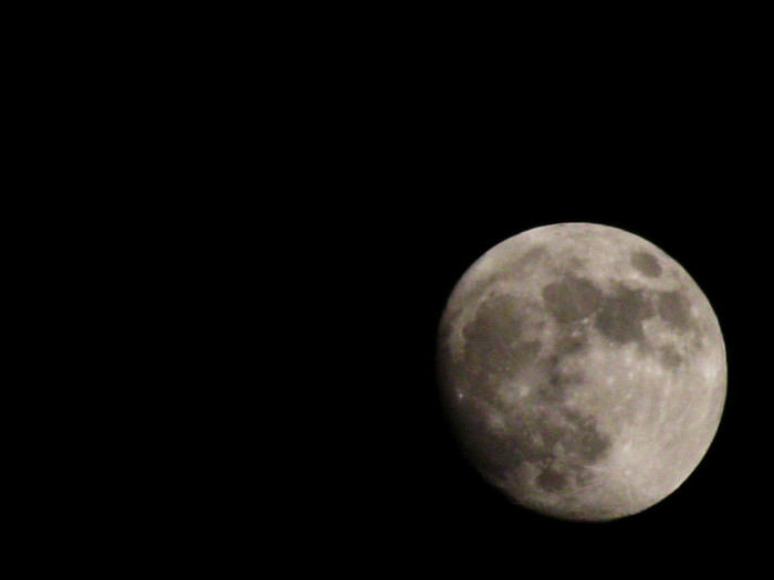 DSCF5164 - 2012 Luna 2 iun