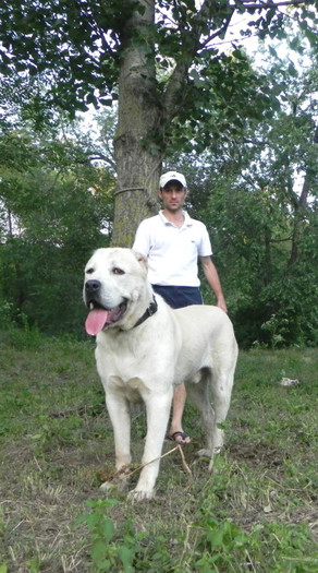 8; Cronos 11 luni, 59-80 cm si 71 kg
