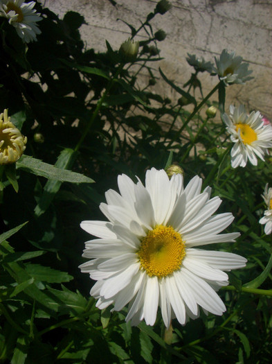 CIMG5364