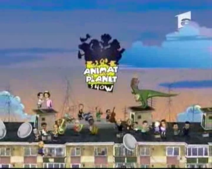 Animat Planet Show