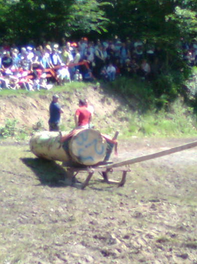 Fotografie0870 - FESTIVALUL ECVESTRU 2012 RASNOV