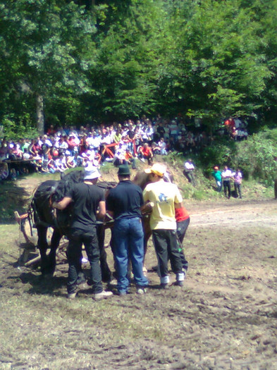 Fotografie0907 - FESTIVALUL ECVESTRU 2012 RASNOV