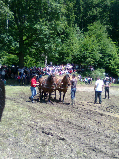 Fotografie0909 - FESTIVALUL ECVESTRU 2012 RASNOV