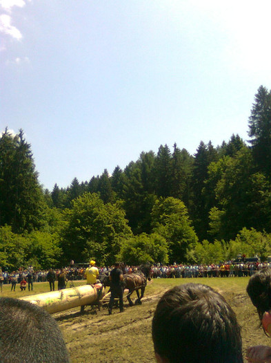 Fotografie0922 - FESTIVALUL ECVESTRU 2012 RASNOV