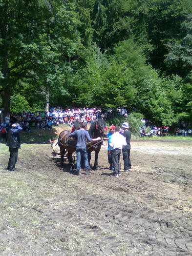 Fotografie0923 - FESTIVALUL ECVESTRU 2012 RASNOV
