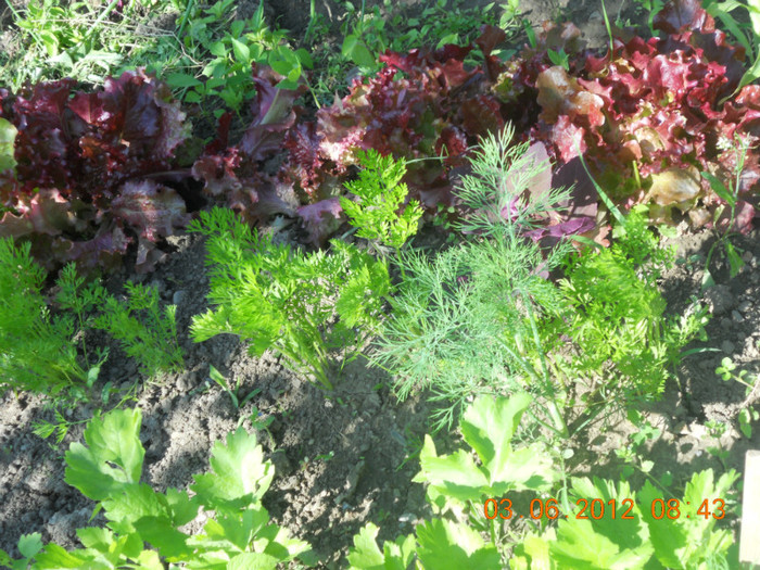 DSCN1275