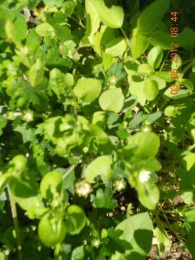 DSCN1278