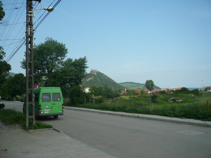 P1020032 - dupa gheata iunie