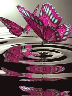 pink butterfly - Pozee