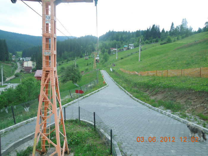 DSCN0852 - Din excursie