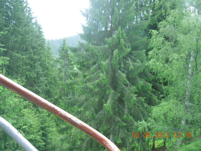 DSCN0882 - Din excursie
