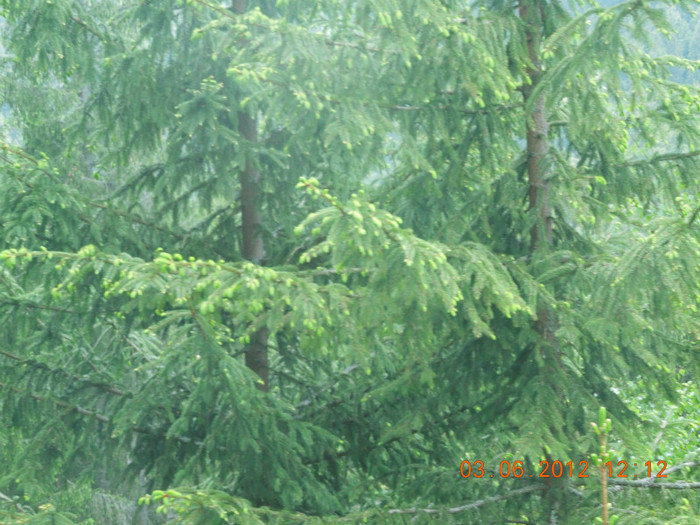 DSCN0887 - Din excursie