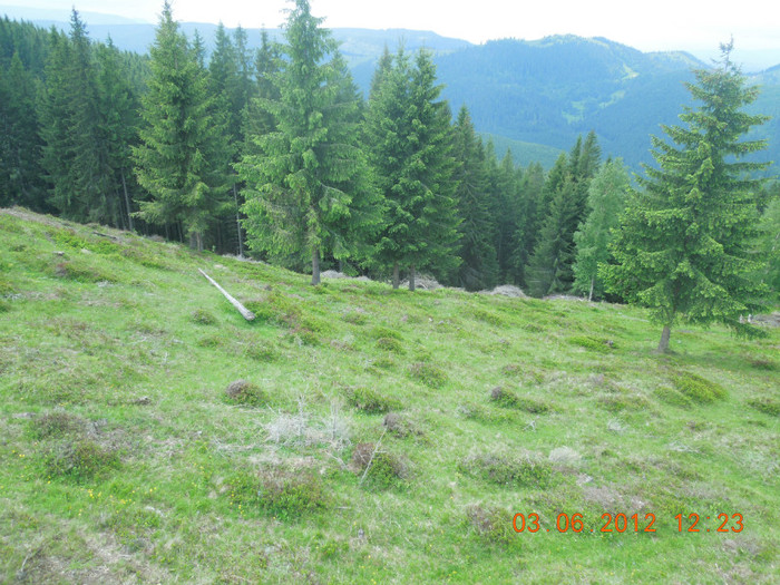 DSCN0922 - Din excursie