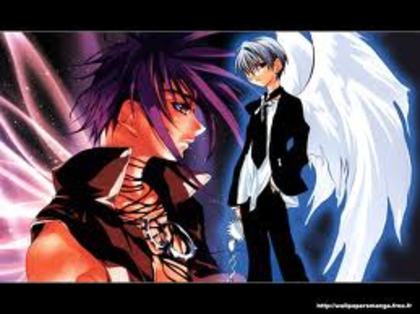 images (21) - DN angel