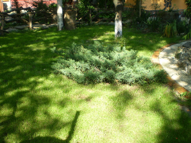 P6030131 - curtea locul de munca