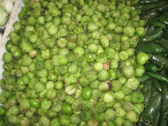 tomatillo; tomatillo.SLP
