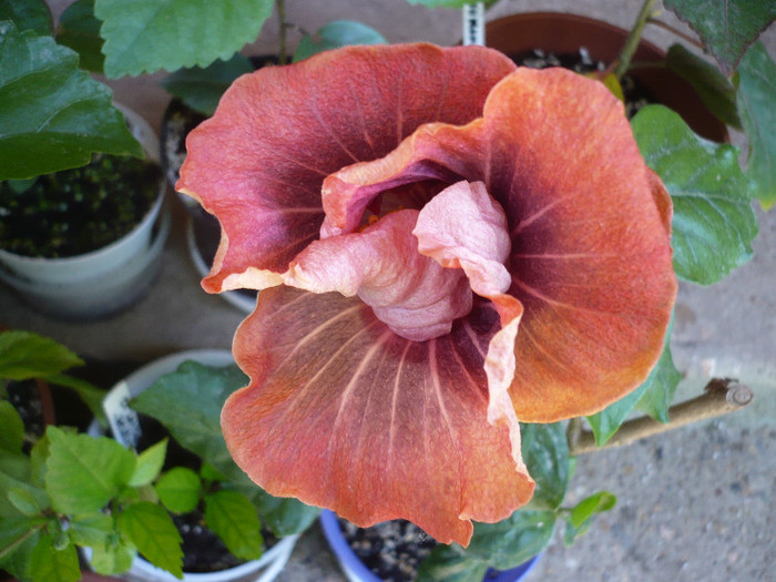 P1140335