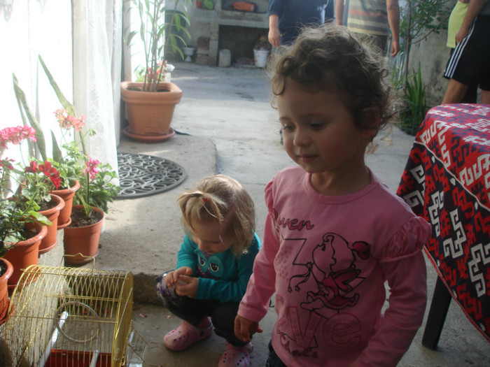 DSC06151 - familia mea