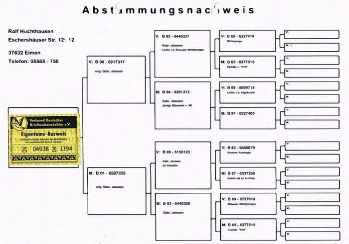 rs brieftauben 2