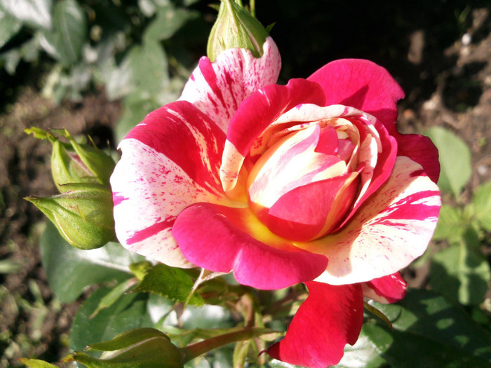 Photo0237