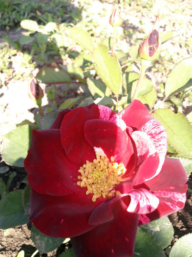 Photo0248