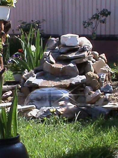 DSC01456 - GRADINUTA 2012