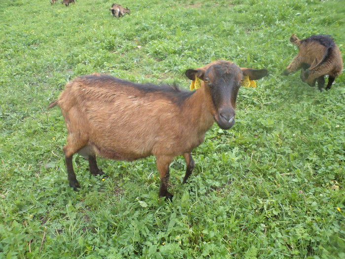 DSC00773