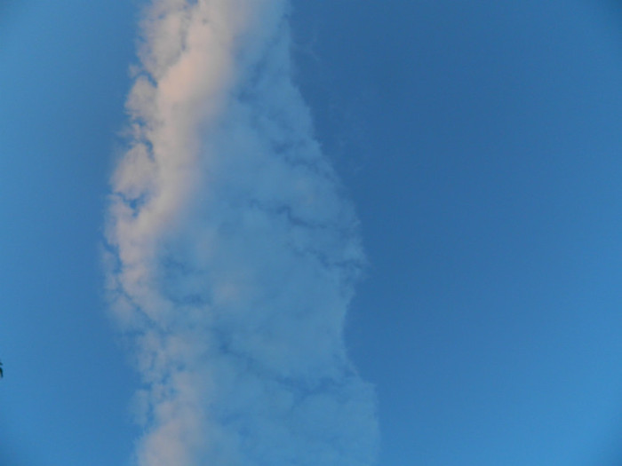 DSCN7503 - IUNIE  2012