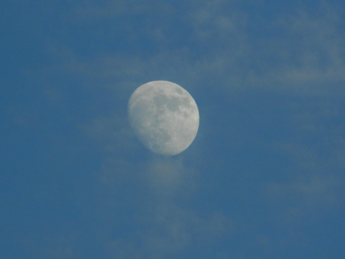 DSCN7505 - IUNIE  2012