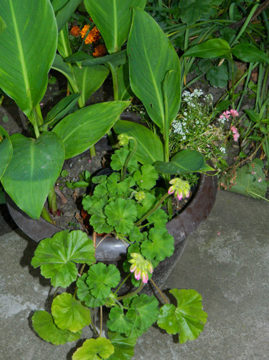 DSCN7568