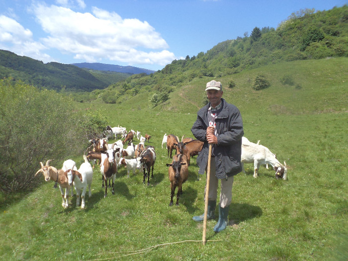 DSC00823 - AMENAJARE ADAPOST DE VARA