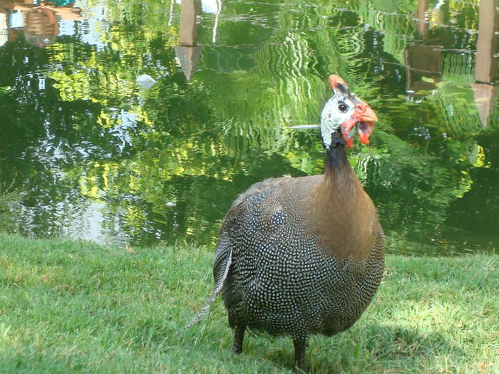 DSC05538 - BIOPARC