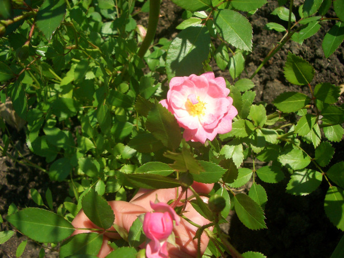 CIMG5407