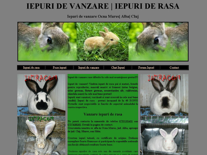 www.iepuri.intracominvest.eu - Vizitati websiteul nostru