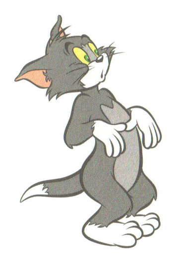 TOM & JERRY - TOM - tom si jerry