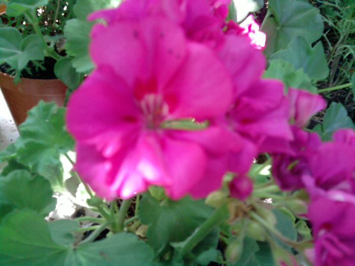 Picture 048