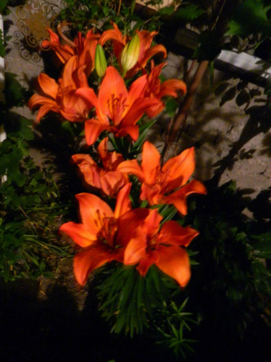 DSCN7640