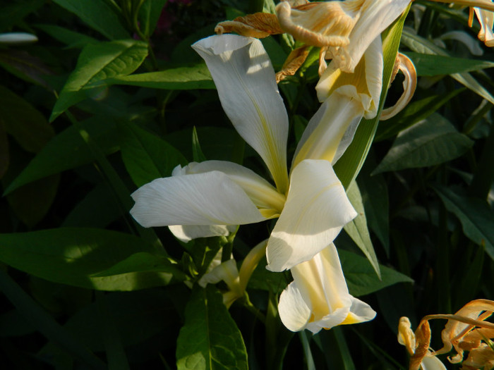 DSCN7673