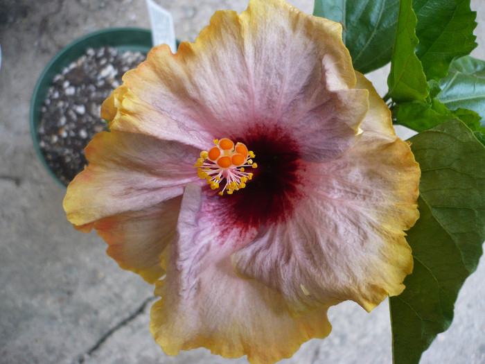 P1140390