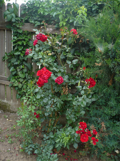 P1140413