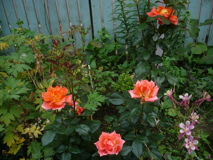 P1140420