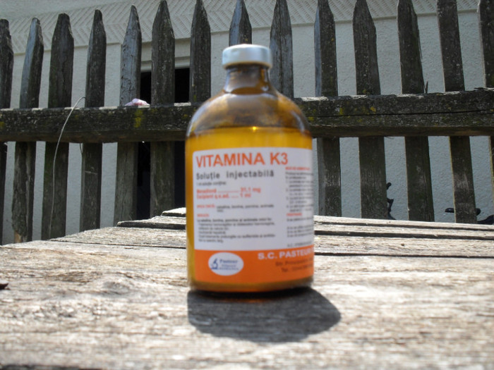 Vitamina k3 - Medicamente Iepuri